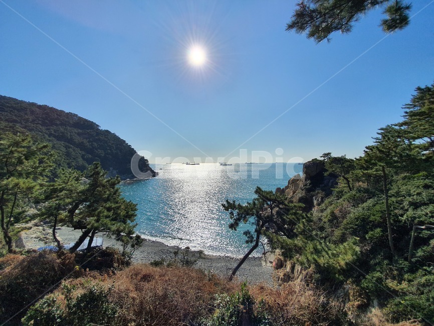 부산,태종대,busan,바다,sea,nature,자연,outdoors,옥외,나무,tree,해변,beach,하늘,sky,자연,풍경,nature,landscape