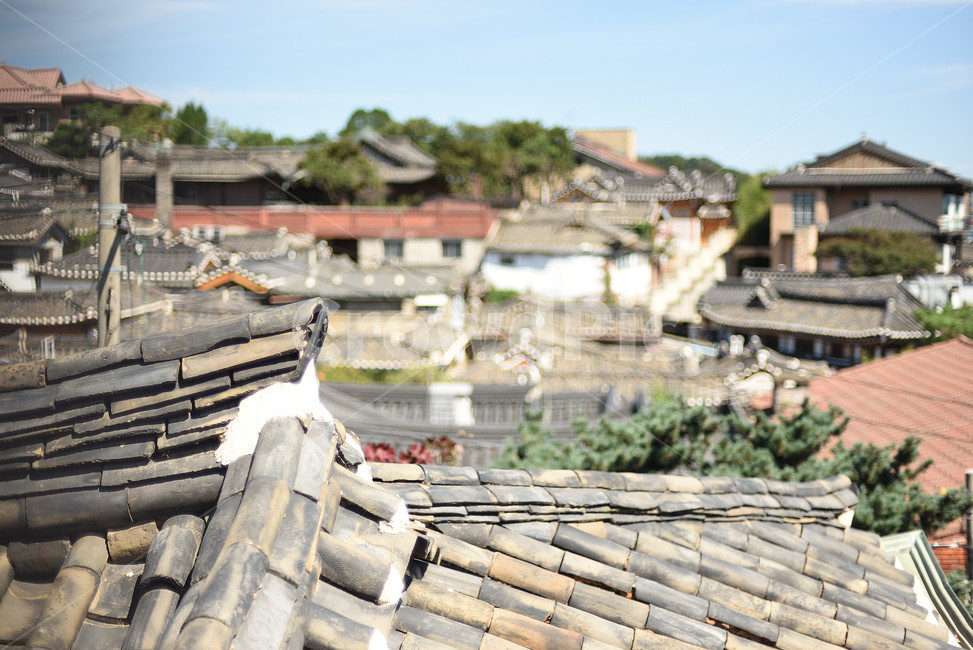 지붕,기와,한옥,전통,기와지붕,한옥마을,한국전통,한국문화,korean traditional,korean culture,건축물,건물외관,exterior,building,structure,architecture,construction