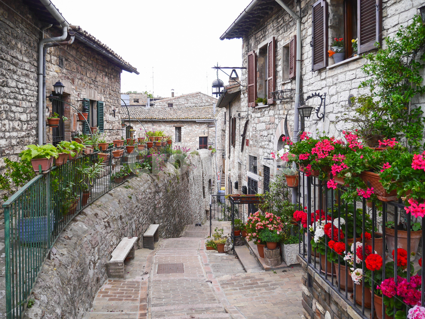 이탈리아,아시시,골목길,마을,페루자,풍경,경치,동네,중세,중세건물,조용한,아름다운,중세마을,계단,건축,건축물,도시,소도시,여행지,관광지,한적한,평화로운,집,배경,건물,도시,풍경,city,landscape,골목길,alley,해외,외국,세계,foreign,oversea,world,세계도시풍경,해외도시풍경,외국도시풍경,world cityscape,plant,식물,flagstone,판석,flower,꽃,blossom,flower arrangement,꽃꽂이