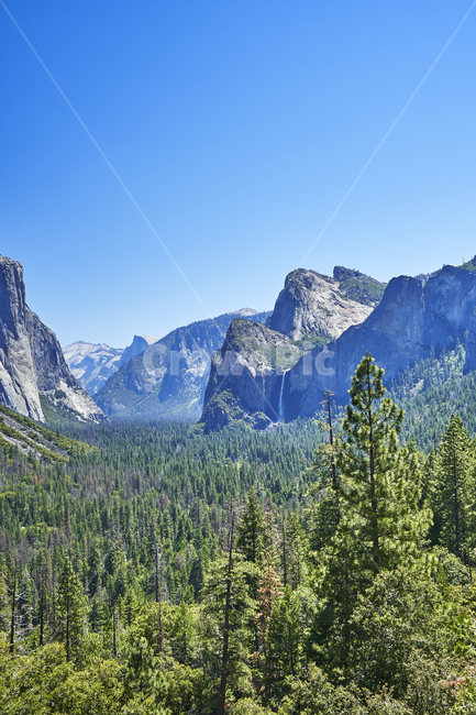 yosemite,요세미티,국립공원,나무,산,풍경,하늘,공원,전망,파노라마,힐링,휴식,자연,풍경,nature,landscape,해외,외국,세계,foreign,oversea,world,세계자연풍경,해외자연풍경,외국자연풍경,world nature landscape,tree,plant,식물,abies,아비,fir,전나무,mountain,outdoors,옥외