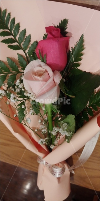 여자친구선물,꽃선물,크리스마스,장미,핑크장미,베이비핑크,꽃포장,기념일,꽃,flower,기념일,축하,anniversary,congratulation,celebrate,celebration