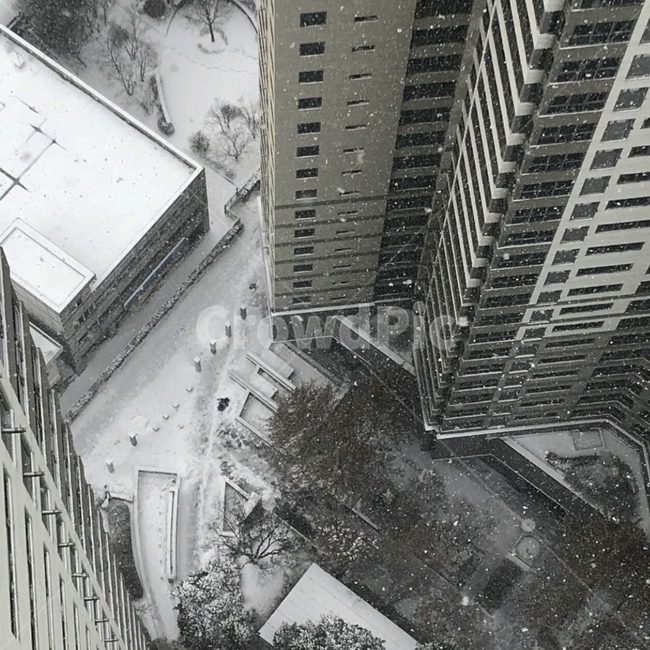 눈,겨울,감성,아파트,화이트,겨울,계절,winter,season,도시,풍경,city,landscape