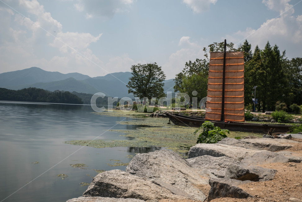 양평,두물머리,풍경,여름,강,한국자연풍경,한국자연경관,korea nature landscape,plant,식물,tree,나무