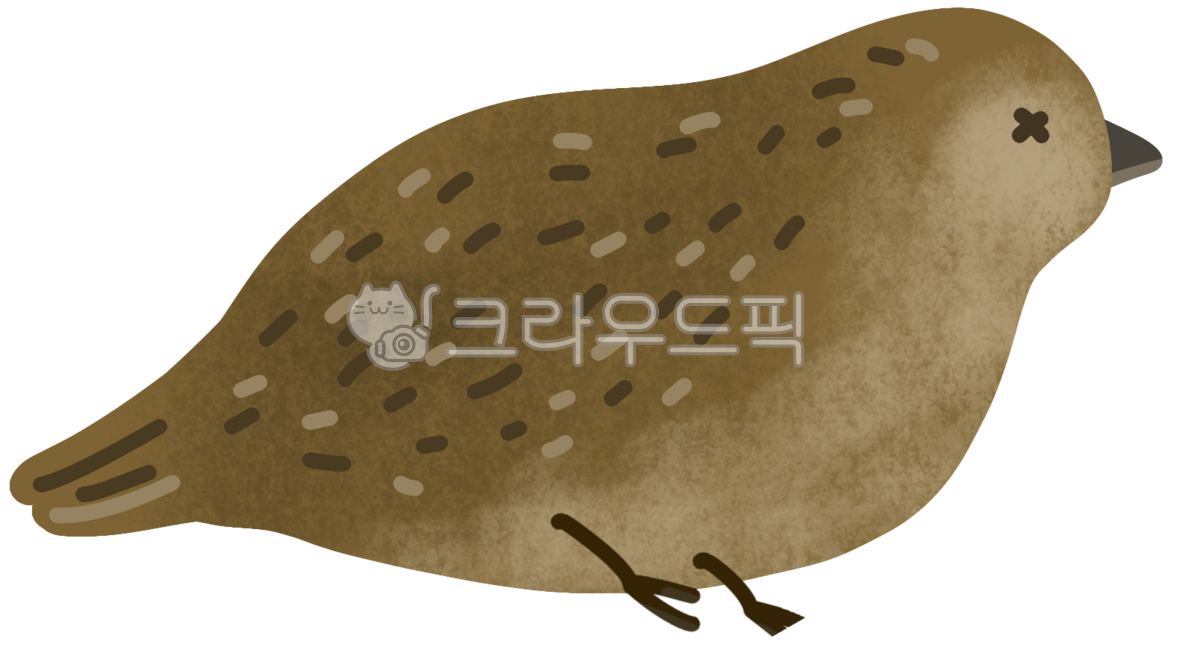 출애굽기,메추라기,새,조류,작은새,메추리,죽은새,새고기