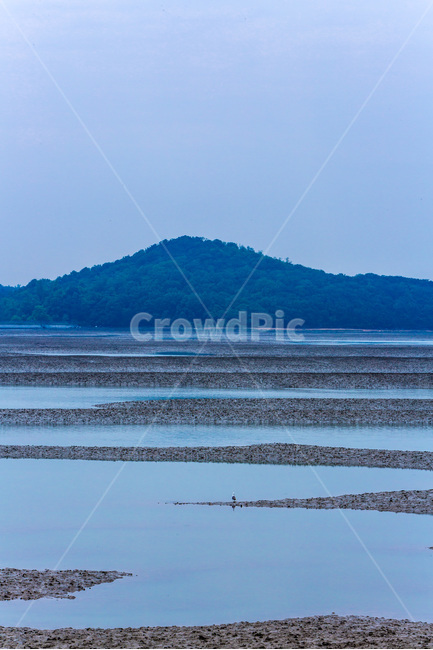 갯벌,갈매기,자연,환경,풍경,자연,풍경,nature,landscape,한국자연풍경,한국자연경관,korea nature landscape,outdoors,옥외,land,땅,shoreline,해안선,water,물,sea,바다,ocean,대양,coast,연안