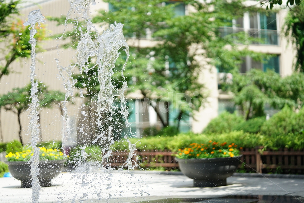 분수,물,물줄기,여름,계절,water,순간,순간포착,더위,summer,여름,계절,summer,season