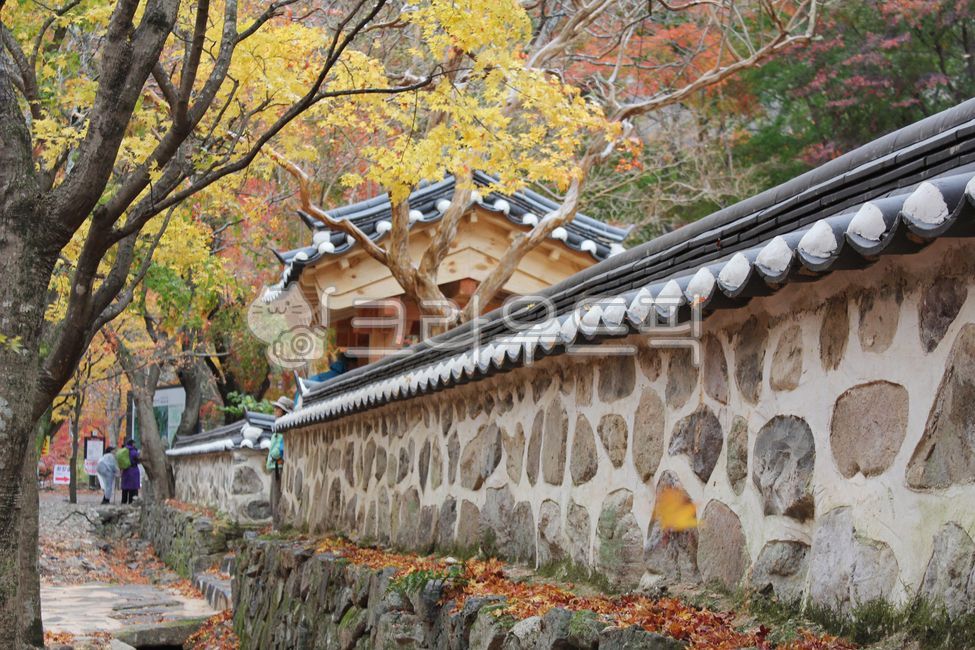 stone wall,bank,fallen leaves,autumn leaves,autumn,tradition,roof tile,house,wall,republic of korea