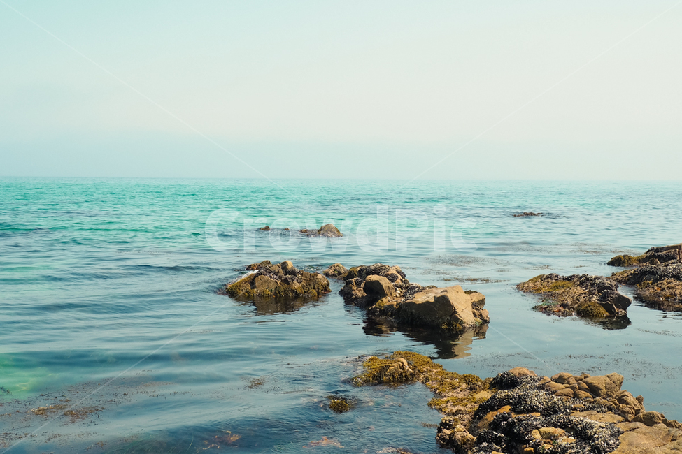 바다,정동진,바닷가,sea,beach,정동진바다