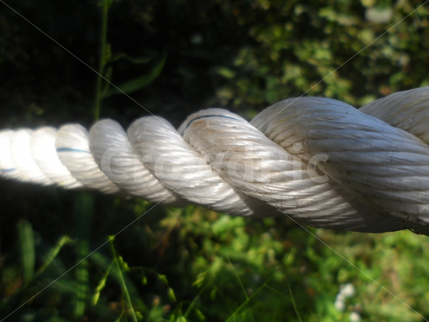 string,Robust,accompanying,support,together