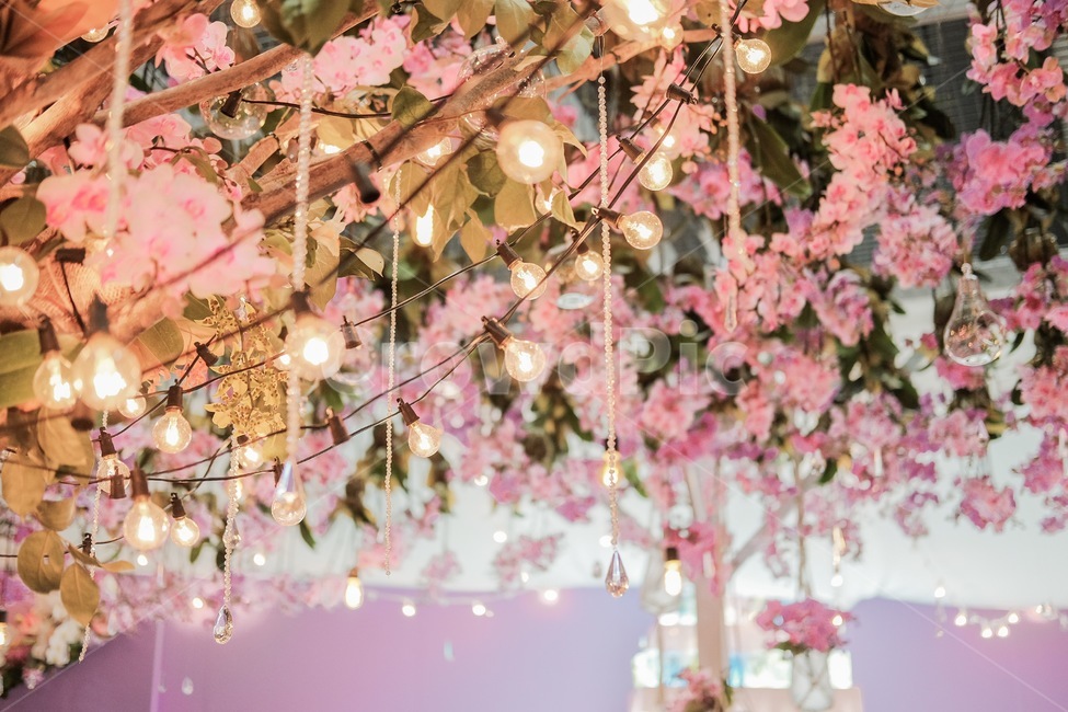 꽃,꽃나무,조명,정원,꽃밭,야경,밤,풍경,nightscape,night,landscape,식물,자연,plants,nature,꽃,flower,감성,sensible,feeling,색깔,색상,색채,색감,color sense,color sensitivity,feeling of color,plant