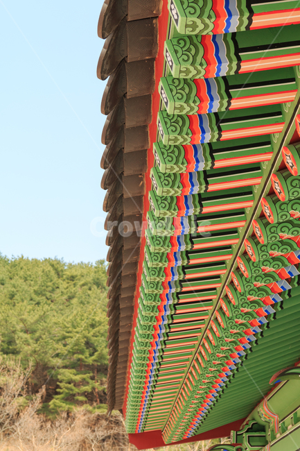 건축,아시아,지붕,건물,한국,중세,미술,문화,대한민국,전통,궁,궁궐,궁전,한옥,색상,단청,다채로운,패턴,무늬,문양,기와,문화유산,처마,전통무늬,전통문양,동양,아름다운,건축물,목재,목조건물,한국전통,한국문화,korean traditional,korean culture,건축물,건물외관,exterior,building,structure,architecture,construction