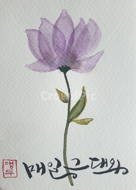 엽서,캘리그라피,수채화,겹친꽃,엽서캘리그라피,plant,식물,그림