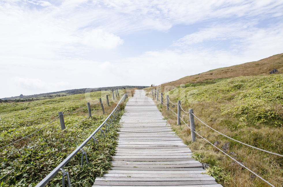 제주,제주도,한라산,산,자연,숲,구름,하늘,풍경,자연,풍경,nature,landscape,한국자연풍경,한국자연경관,korea nature landscape,boardwalk,산책로,building,건물,bridge,다리