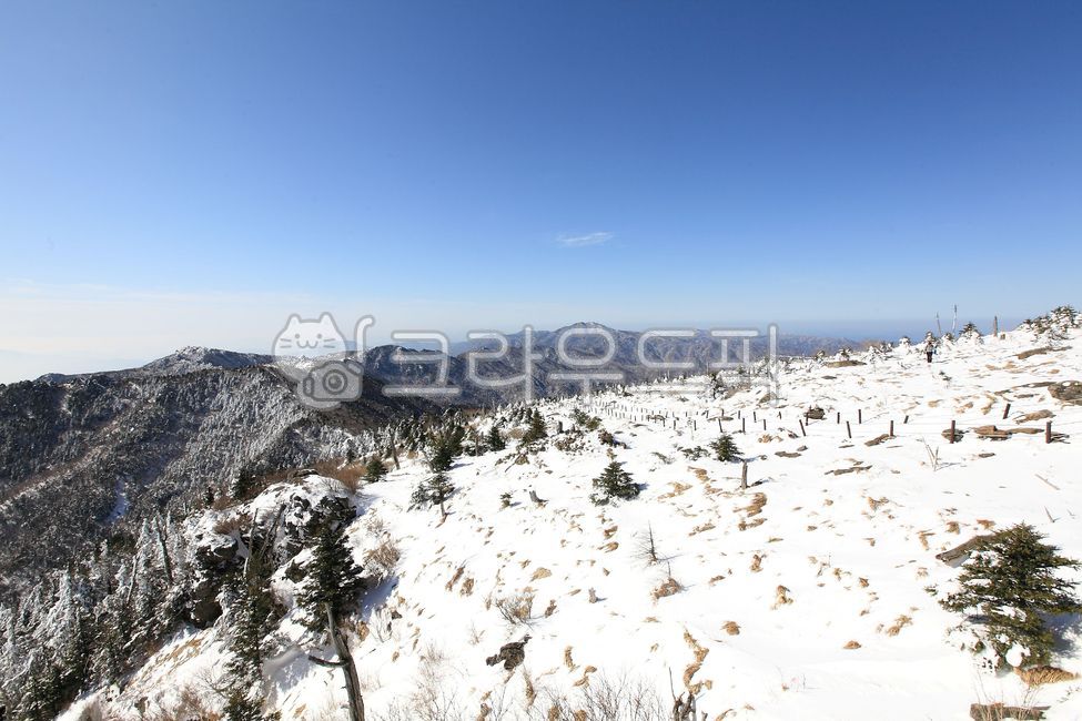 지리산,겨울,설경,파란하늘,제석봉,1월,차가운,눈,추운,nature,자연,mountain,산,경치,하얀,흰색,바위,돌,white,눈쌓인,한겨울,겨울산,landscape,view,rock,등산,outdoors,옥외,배경,winter,snow,하얀눈,scenery,식물,plant,bluesky,등산로,길,명산,맑은날씨,고산,국립공원,slope,경사,mountainrange,산맥