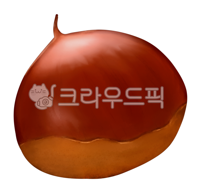 밤, 알밤, 밤알, 가을, 수확, 사진,이미지,일러스트,캘리그라피 - nolikkikki작가
