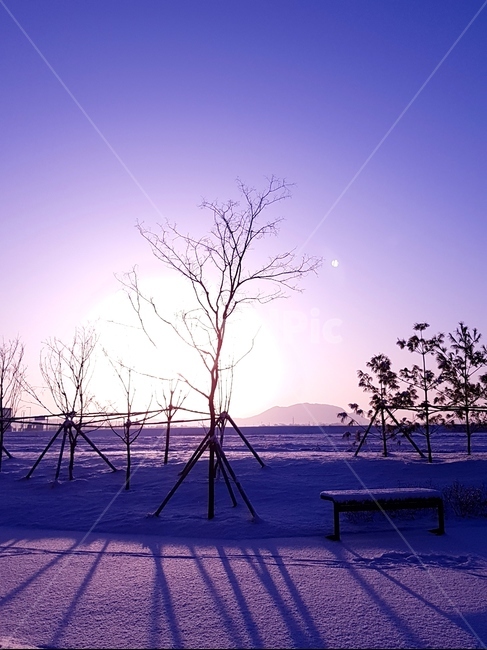 일출,해,풍경,자연,겨울,나무,겨울,계절,winter,season,자연,풍경,nature,landscape,outdoors,옥외