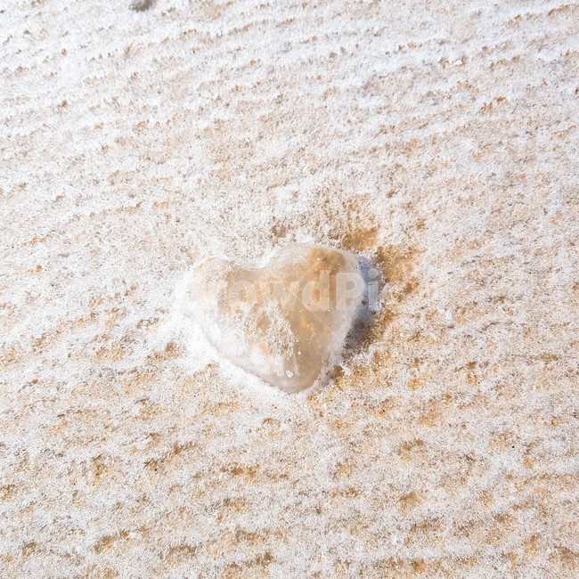 하트,겨울바다,바다얼음,하트얼음,모래해변,자연,모래,nature,heart