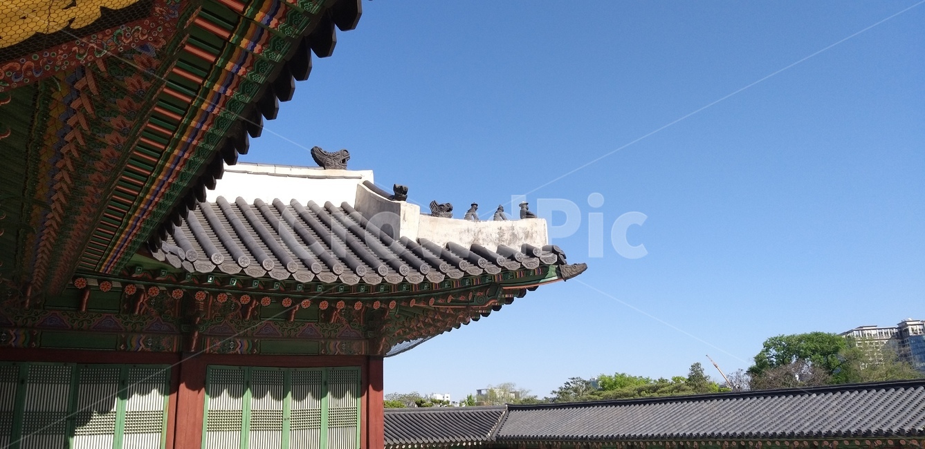 광화문,한국,전통건축,궁,단청,건물외관,korean,tradition,construction,맑은날,여름,하늘,지붕,처마