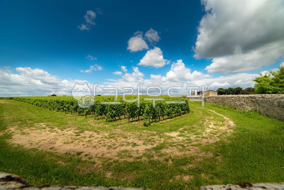 bordeaux,worldheritage,Bordeaux,villige,vinyard,saintemilion,Saint Emilion,landscope,wine village,vineyard,south of france,Town,sight,france,Emotion,europe,winevillage,bordeauxwine,nature,world cultural heritage,saintmilion,Bordeaux wine,feeling,outdoors,