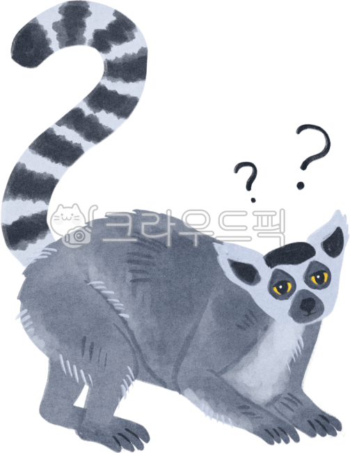 rare animals,endangered species,wild animals,long-tailed macaques,lemurs,monkeys,Africa