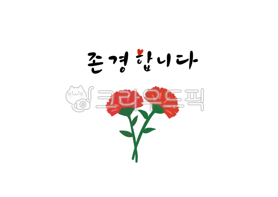 Teachers day,I respect you,blossom,plant,carnation,Mothers Day,calligraphy,flower