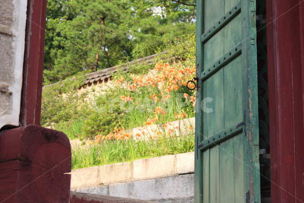 door,문,garden,정원,outdoors,옥외,궁궐,궁,식물,조경
