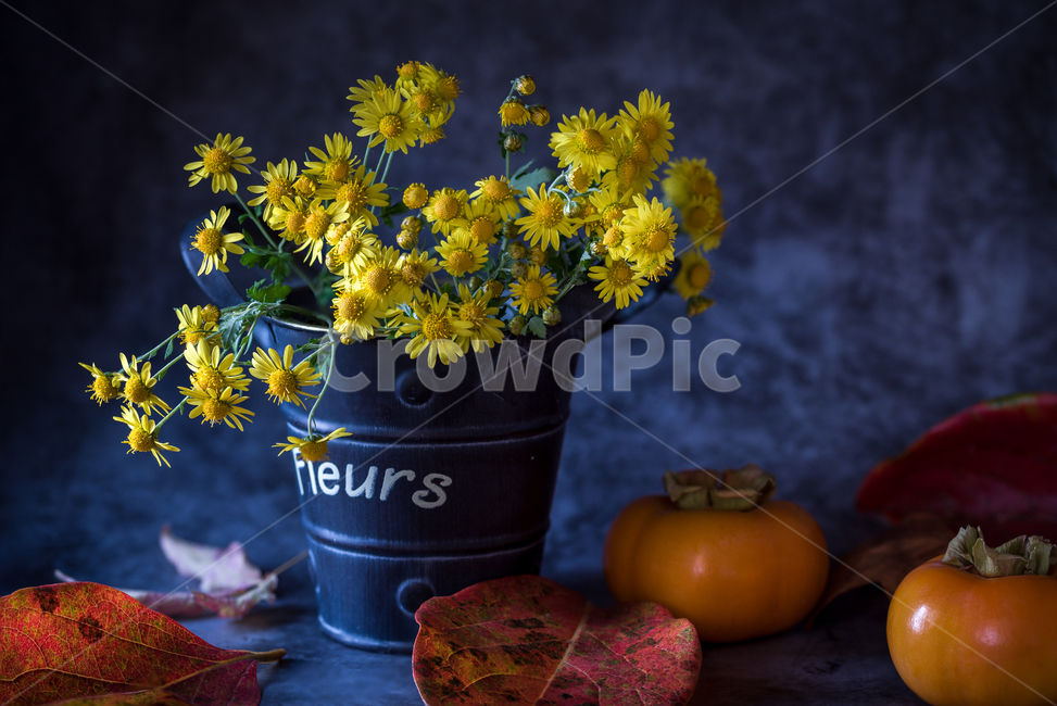 국화,가을,정물,꽃,꽃바구니,life,still,background,flowers,bouquet,art,style,flower,vintage,garden,nature,beauty,color,decoration,beautiful,concept,plant,leaf,floral,artistic,꽃병,어두운,테이블,빛,아련한,감성사진,조용한,침묵,향기로운,자연,서재,필름사진,식물,인테리어,실내디자인,음식,식재료,요리,food,cook,meal,dishes,food reserves,과일,열매,fruit