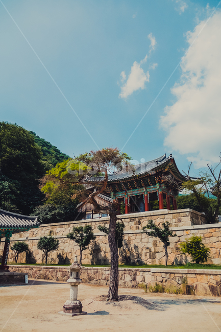 temple,architecture,건축물,건물,절,사찰,하늘,구름,sky,cloud,나무,tree,풍경,절풍경