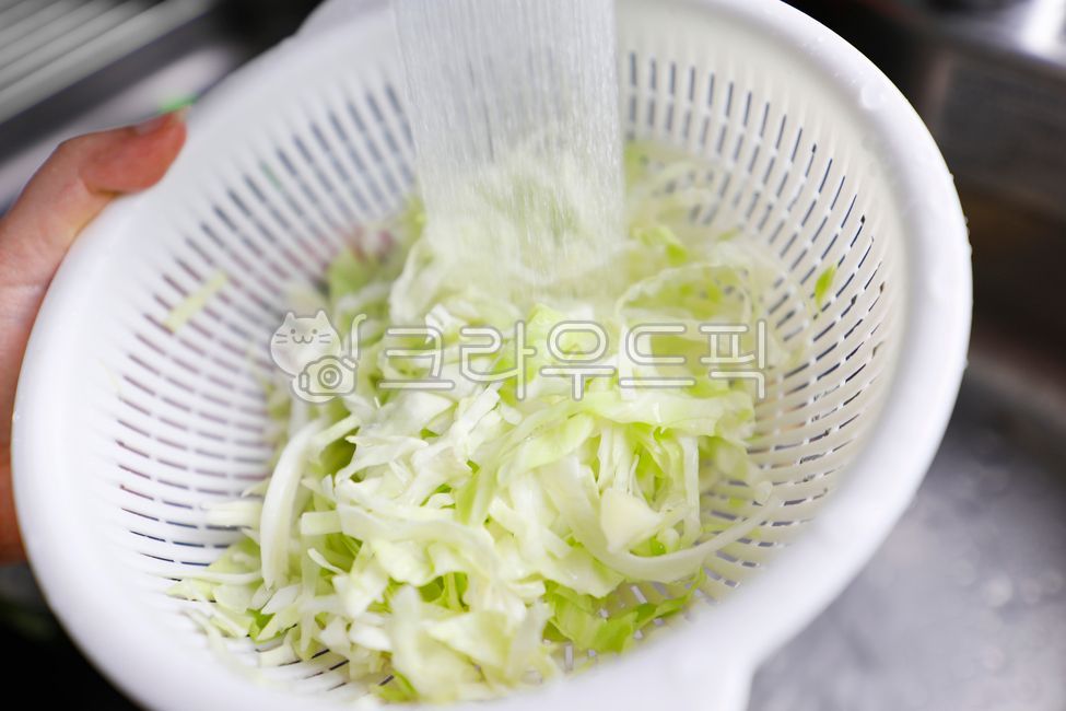 basket,Washing Cabbage,cabbage,washing vegetables,vegetable washing,vegetable,Cabbage washing