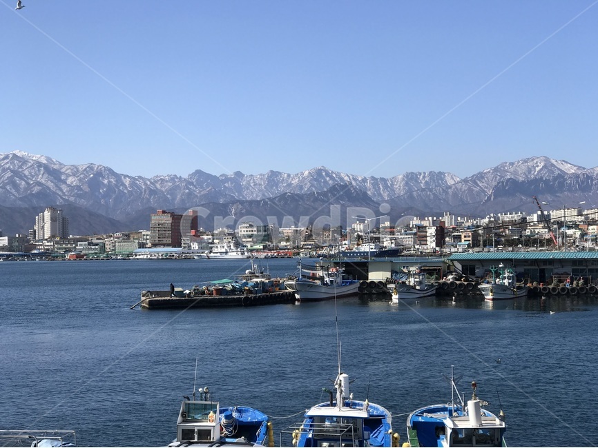 속초,바다,해수욕장,물,항구,산업,industry,industrial,어업,fishery,fishing industry