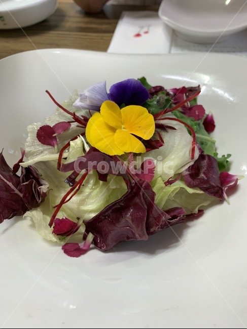 dish,요리,꽃,식용꽃,샐러드,식물,식사,food