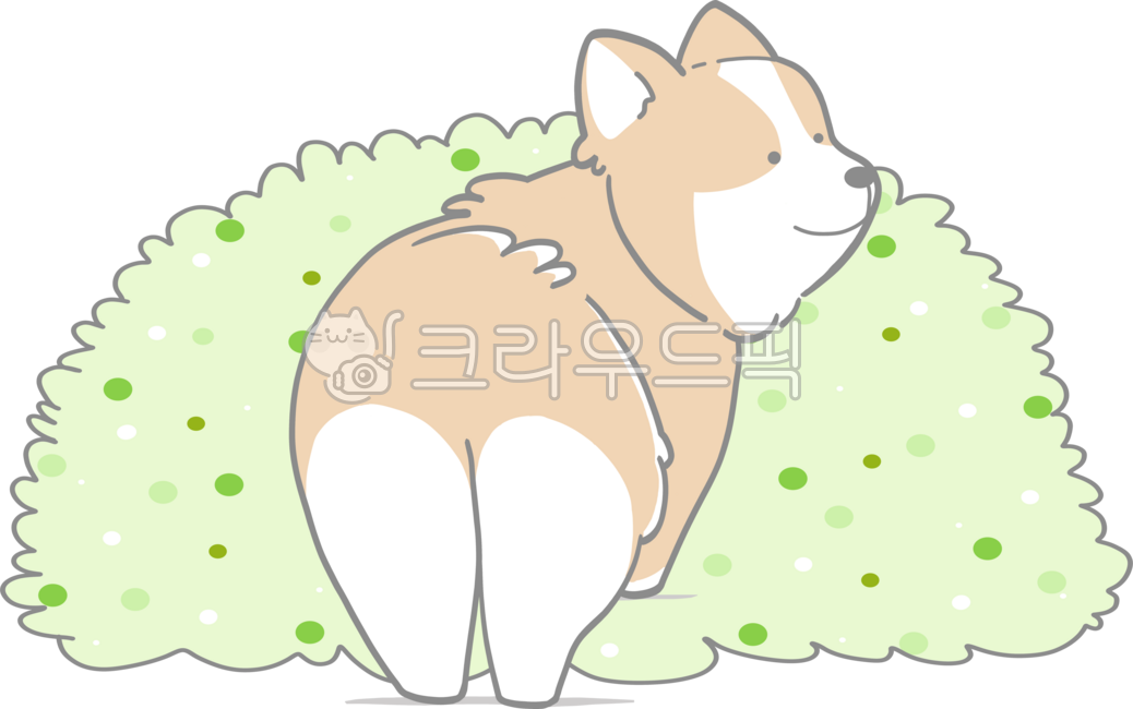 puppy,flower,animal,puppy and flower,cute puppy