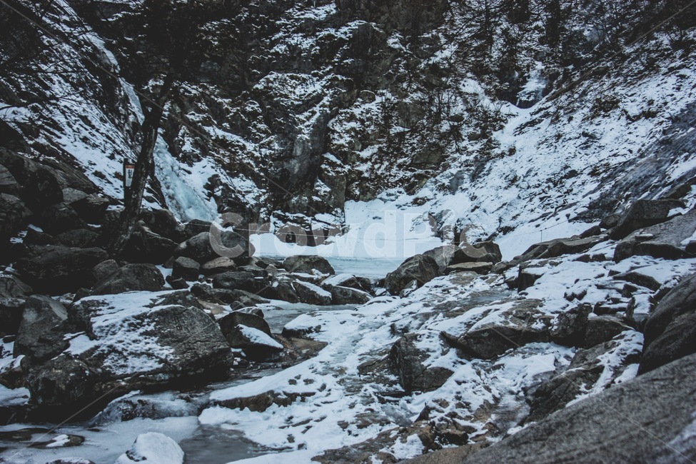 설악산,눈,산,폭포,등산,겨울,계절,winter,season,자연,풍경,nature,landscape,한국자연풍경,한국자연경관,korea nature landscape,tree,나무,plant,식물,fir,전나무,abies,아비