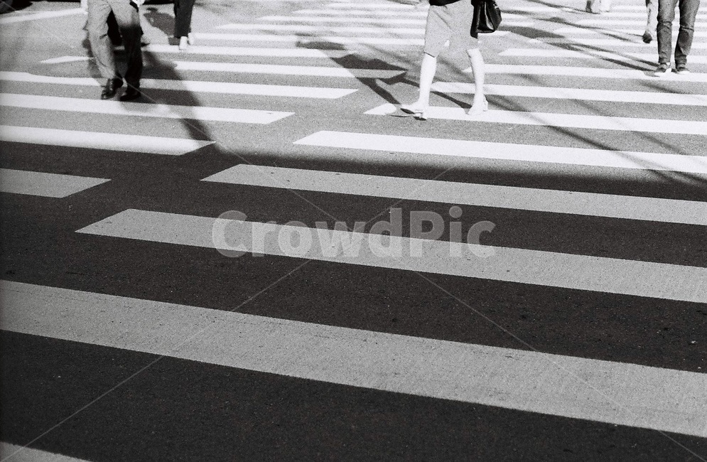 asphalt,아스팔트,tarmac,타맥,road,도로,human,인간,person,사람,pedestrian,보행자,흑백,횡단보도,사람들,대중,군중,other people,crowd,흑백,모노톤,monochrome,black and white,교통,교통수단,traffic,transportation