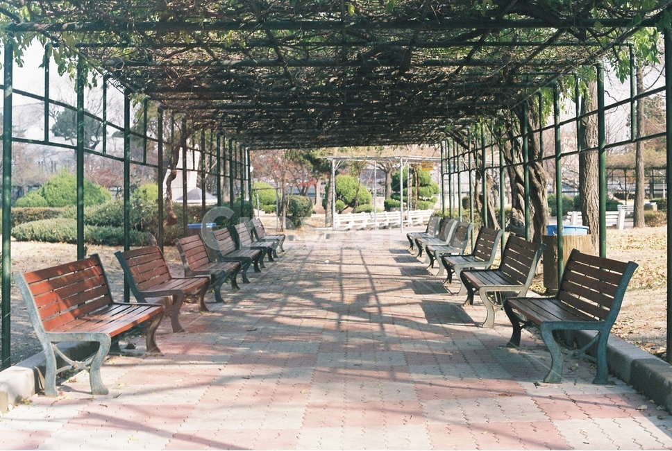 정독도서관,종로,벤치,의자,정원,서울,가을,조용한,autumn,fall,seoul,차분한,bench