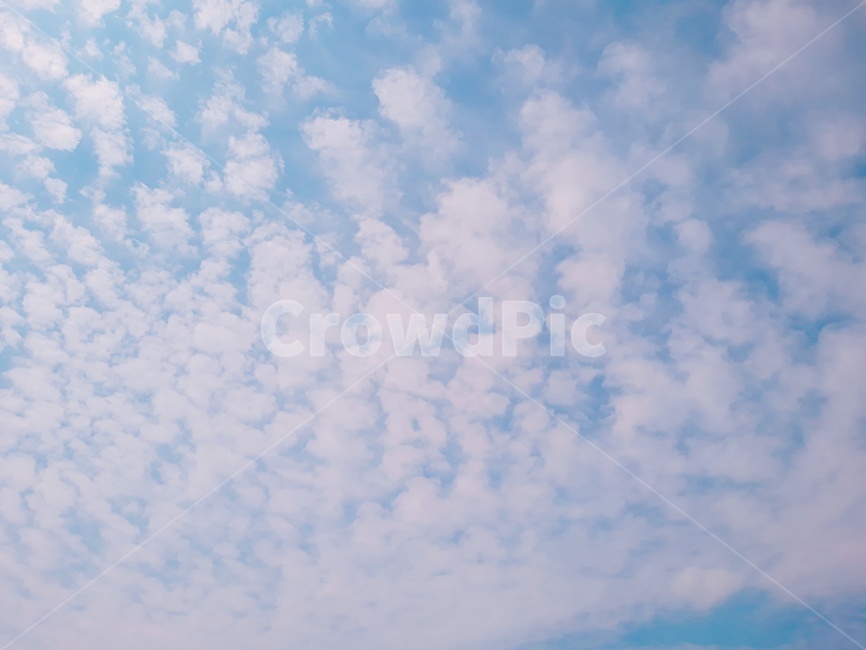 양털구름,권적운,털쌘구름,구름,하늘,포근함