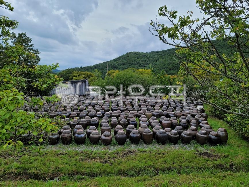 장독, 장독대, 전통, 한국, traditional, 사진,이미지,일러스트,캘리그라피 - Ntorusvlf작가
