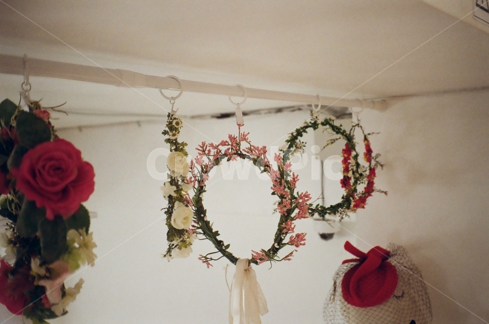flower decoration,film photography,corolla,hair band,prop,film,flower,interior