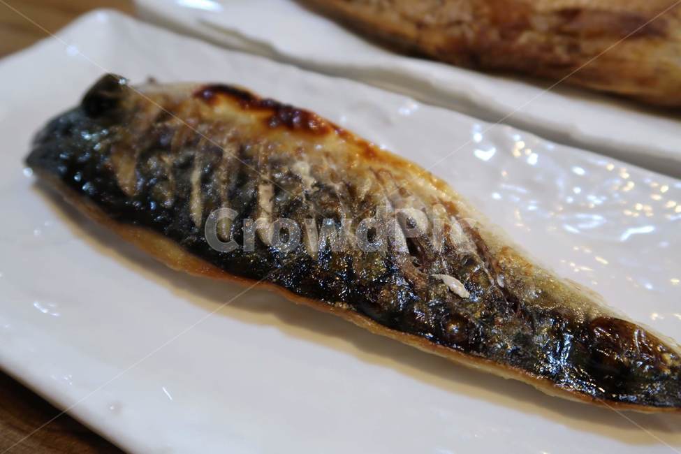 물고기,해양생물,청어,고등어,생선구이,fish