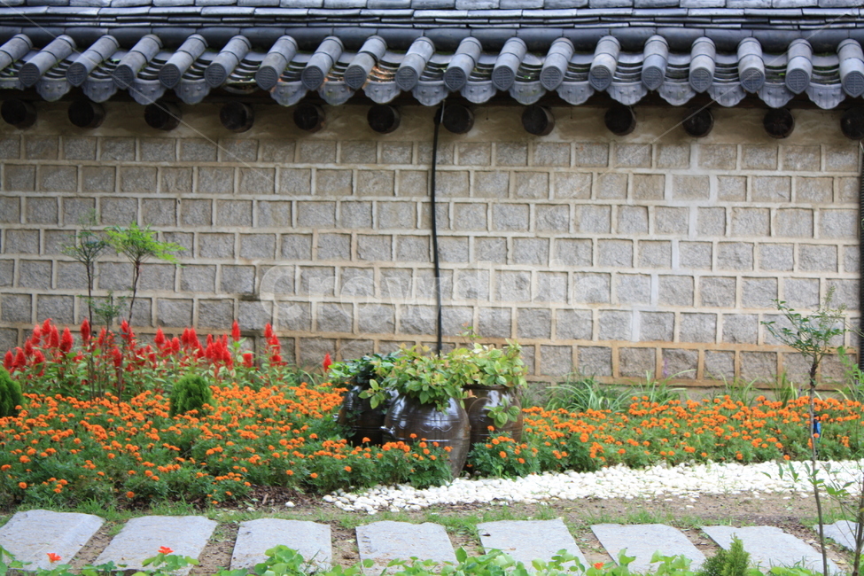 한옥마을,한옥,전통,벽돌길,전주,전주한옥마을,돌담길,봄길,돌길,담벽,기와담,돌담,꽃길,풍경,한국,한국전통,기와집,기와