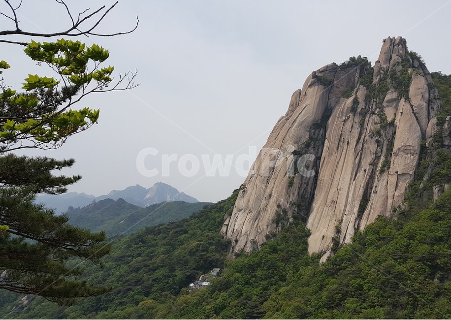도봉산,풍광,산,소나무와산,자연,자연,풍경,nature,landscape,한국자연풍경,한국자연경관,korea nature landscape,outdoors,옥외,cliff,낭떠러지