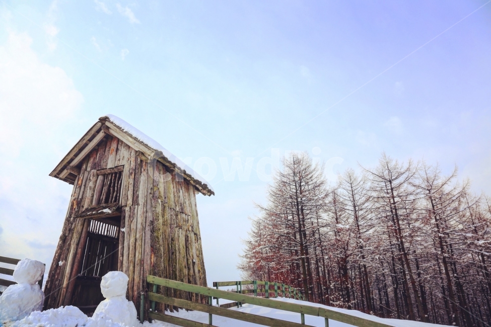 눈사람,눈,나무,목장,대관령,양떼목장,snow,snowman,tree,farm,겨울,winter,겨울,계절,winter,season,자연,풍경,nature,landscape,한국자연풍경,한국자연경관,korea nature landscape,outdoors,옥외,building,건물,housing,주택