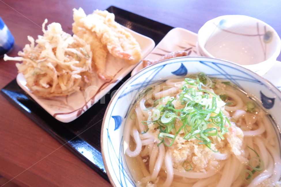 우동,튀김,음식,튀김우동,식사,음식,식재료,요리,food,cook,meal,dishes,food reserves,일식,일본음식,일본요리,Japanese food,Japanese dishes,Japanese meal,Japanese cook