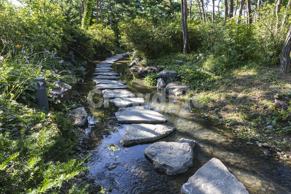 공원,돌다리,여름,물,그늘,water,outdoor,beautiful