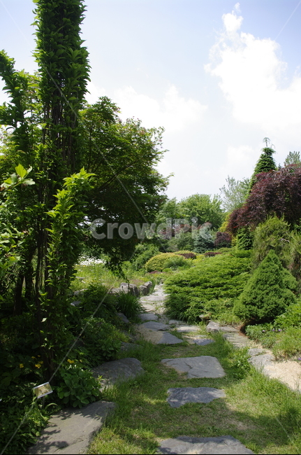 초록,나무,잎,식물,plant,계절,봄,spring,하늘,구름,풍경,길,자연,풍경,nature,landscape,tree