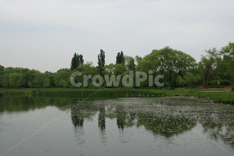 반영,숲,풍경,여름,호수,자연,풍경,nature,landscape,water,물,land,땅,outdoors,옥외