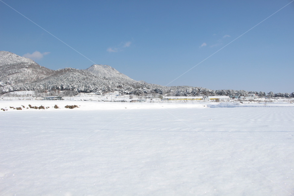 설원,눈,논,눈쌓인논,시골,평야,산,설산,겨울,계절,winter,season,자연,풍경,nature,landscape,한국자연풍경,한국자연경관,korea nature landscape,시골,마을,country,rural,town,outdoors,옥외,ice,빙