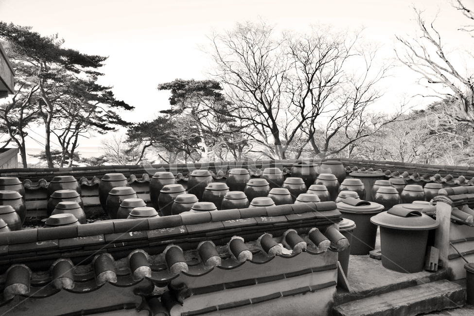 장독대,공양간,보문사,석가산,강화도,장독,양념,한국전통,한국문화,korean traditional,korean culture,흑백,모노톤,monochrome,black and white,사물,물건,오브젝트,thing,object,matter