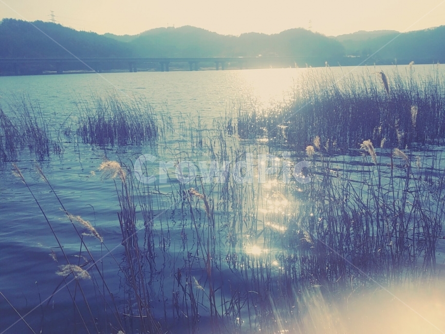 호수,물,여행,빛,감성,자연,풍경,nature,landscape,감성,sensible,feeling,휴식,힐링,rest,relaxation,healing,land,땅,outdoors,옥외,water