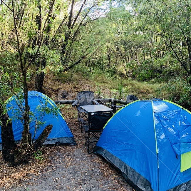 텐트,캠핑,여유,자연속캠핑,휴가,여행,휴가,traveling,vacation,trip